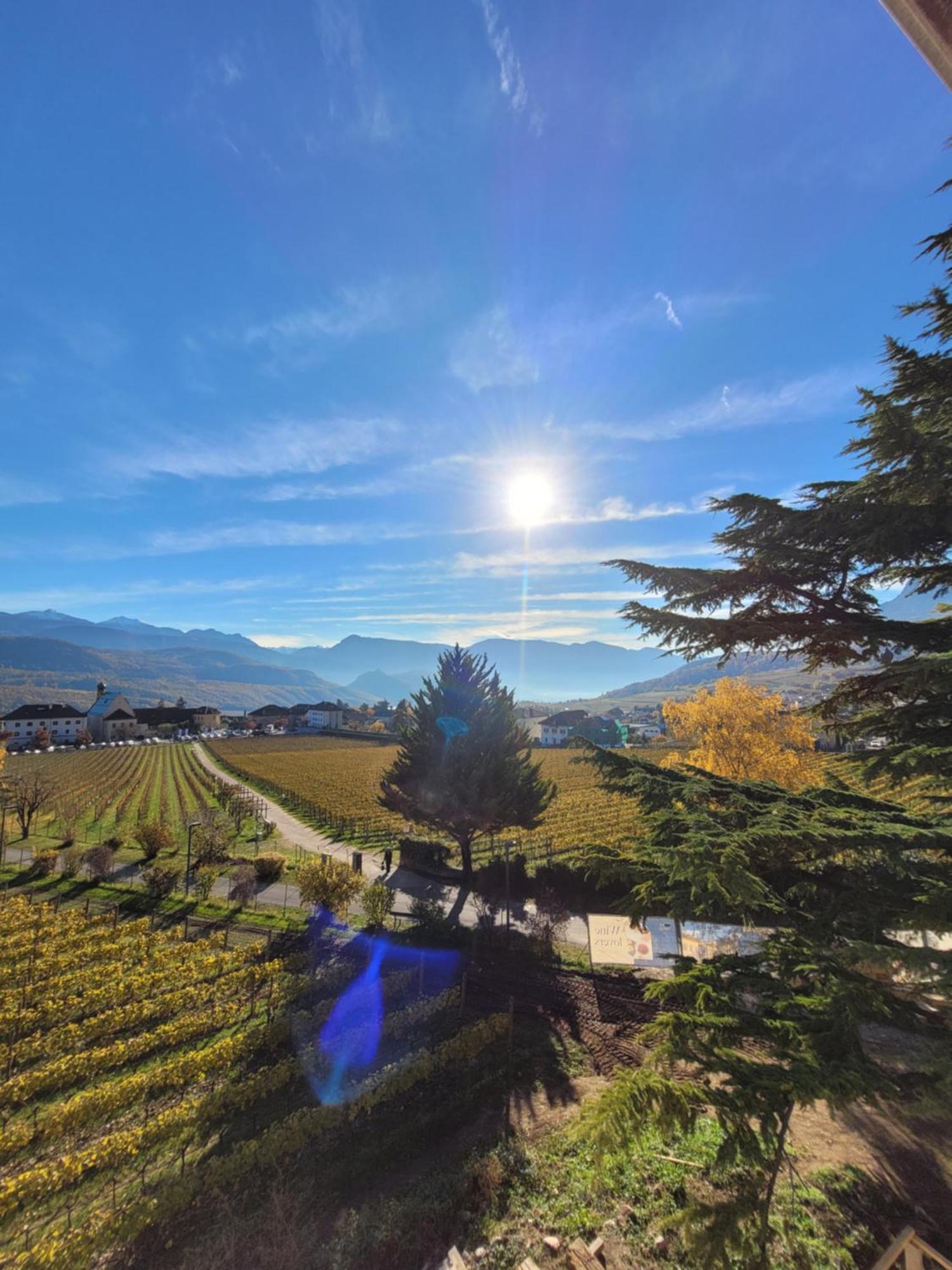 Castel Sallegg Suites Adults Only Caldaro sulla Strada del Vino Exterior foto